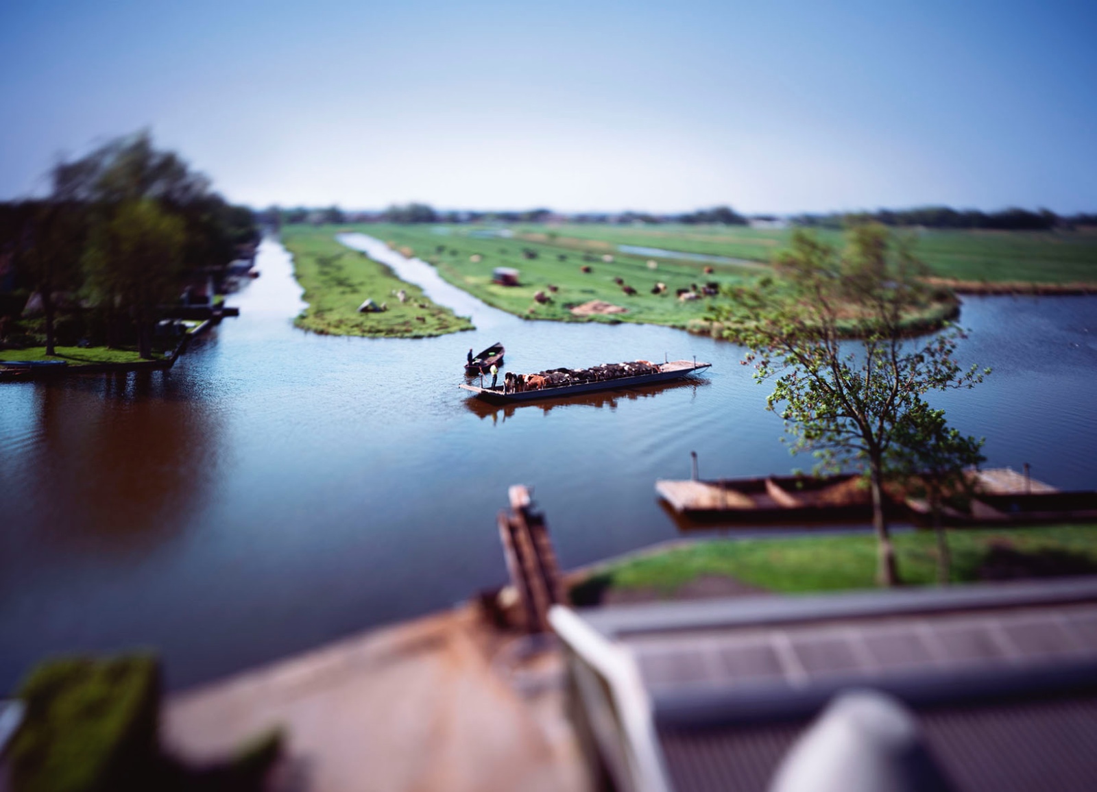 Cattle barge Jisp